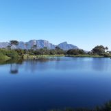 About Golf in South Africa 9