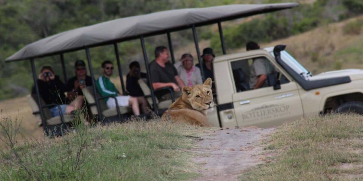 Botlierskop Private Game Reserve Big 5 Safari 2