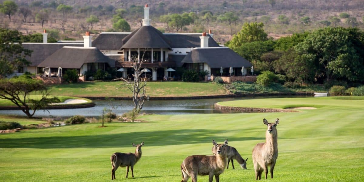 Leopard Creek 2 1