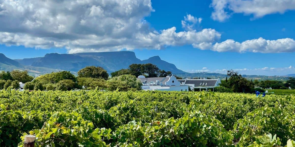 Steenberg Hotel Location